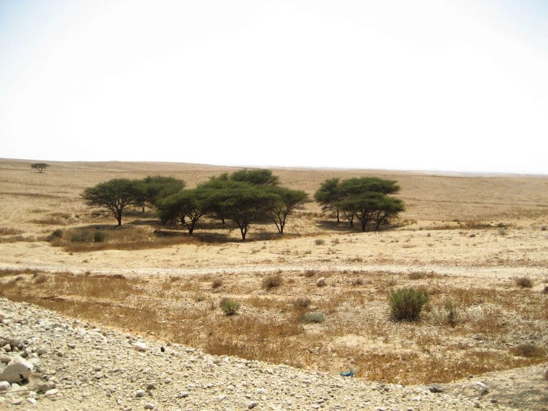 לימן מוריק במדבר, מערבית לכביש 40 באזור צומת גורל