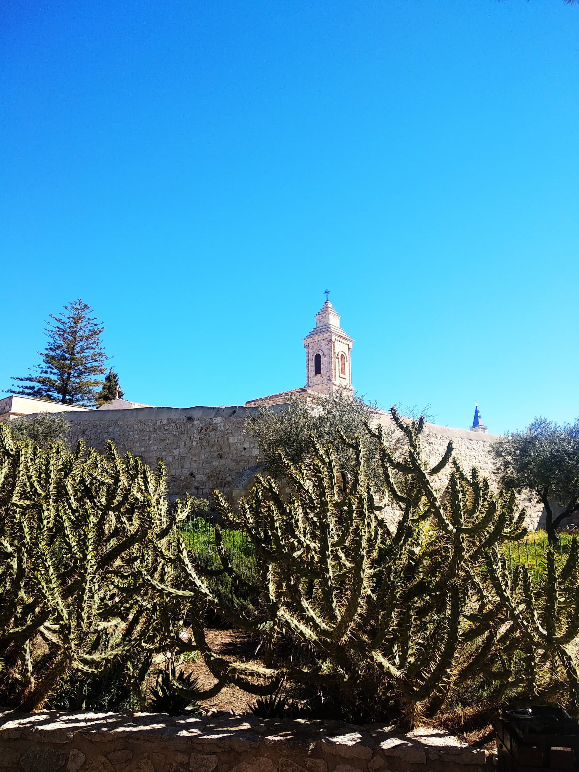 כנסיות בהר הזיתים