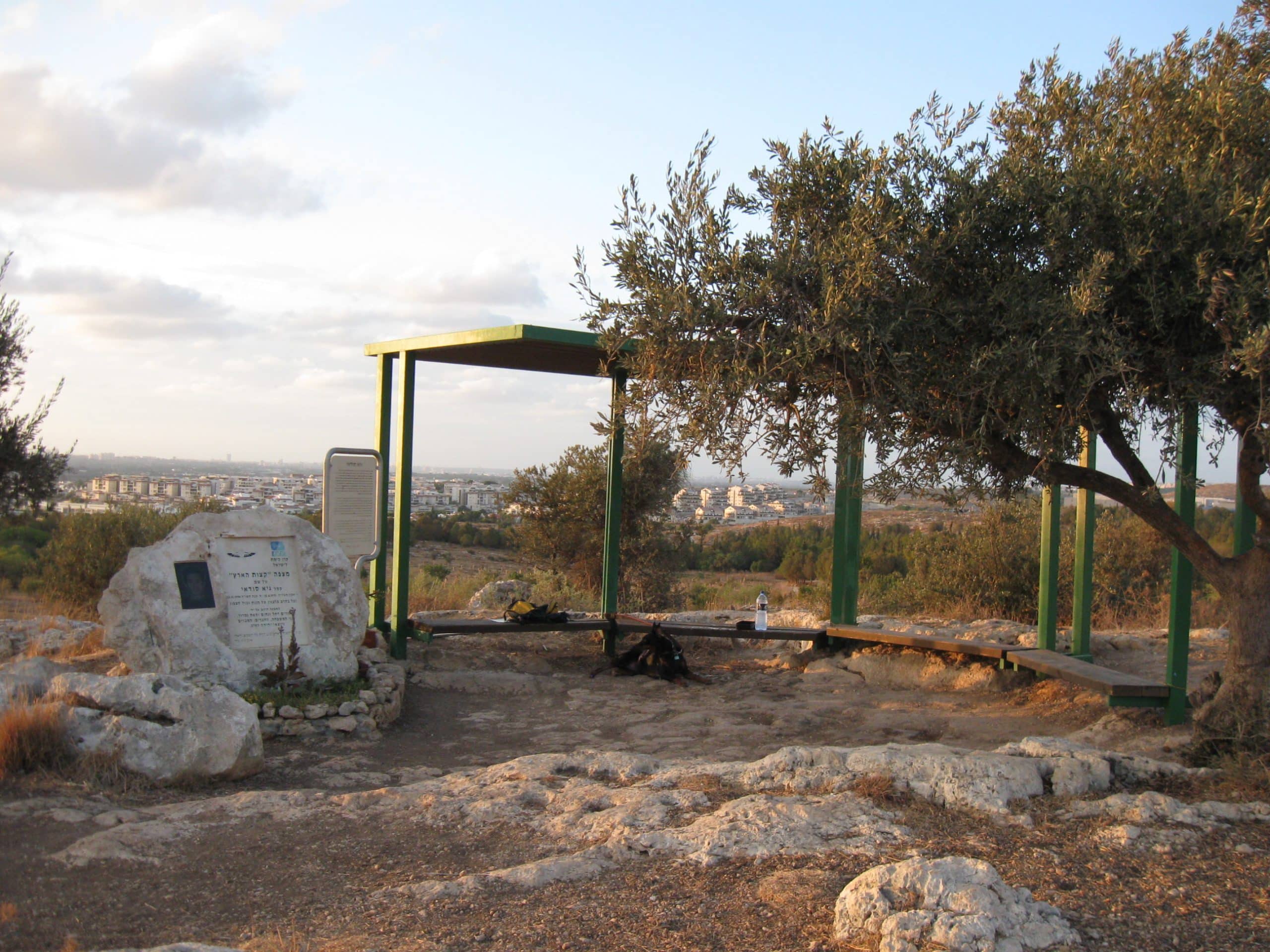 יער שוהם בין עצי בוסתן ואתרי עתיקות - גילי שולץ - מורת דרך מוסמכת